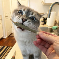 Meowijuana | King Size Catnip Joints | Organic | Dried Premium Ground Catnip | High Potency | Grown in North America | Feline and Cat Lover Approved