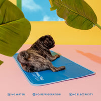 The Green Pet Shop Cool Pet Pad, Self-Cooling - Large / Blue - image 4