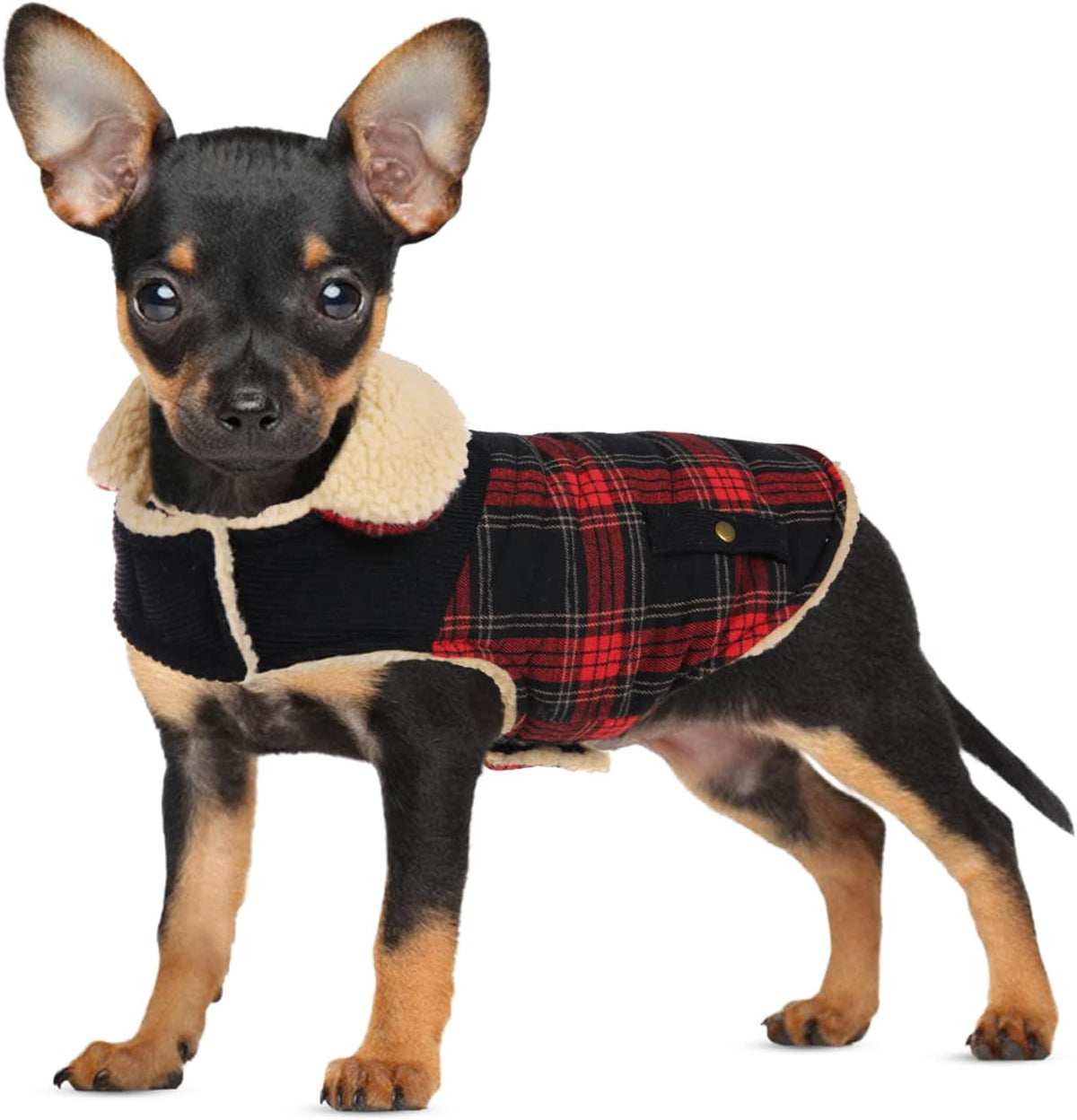 Dog Winter Coats for Small Dogs Puppies - Red / Small