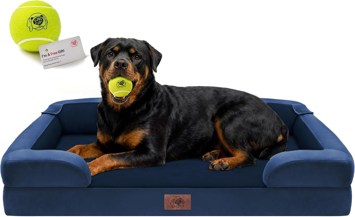 Waterproof Orthopedic Dog Bed for Extra Large Sized Dogs – Essentials for Dogs - 45 x 35 x 9 in / Royal Blue