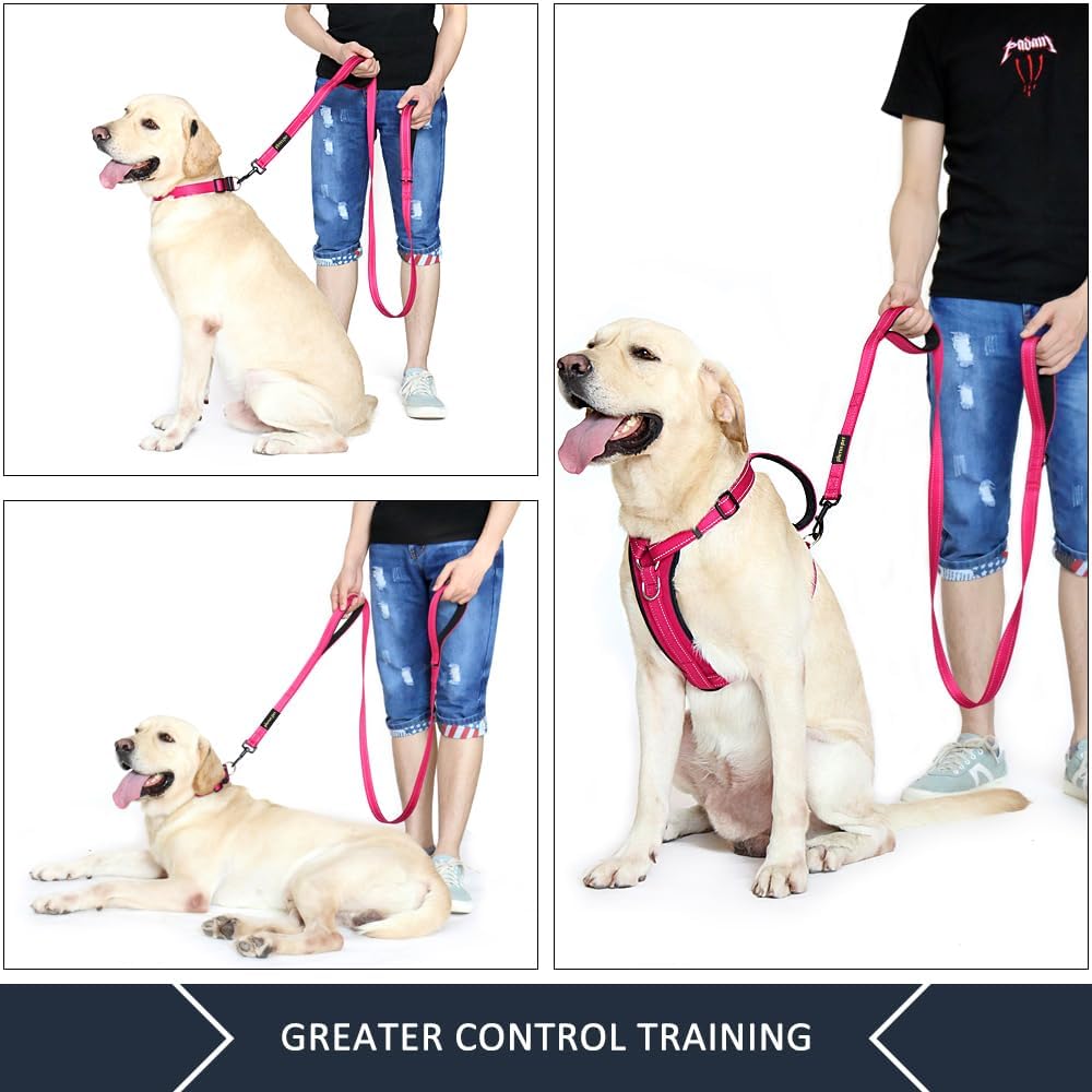 Plutus Pet Double Handle Dog Leash, for Medium Large Dogs - 6 FT / Pink - image 3