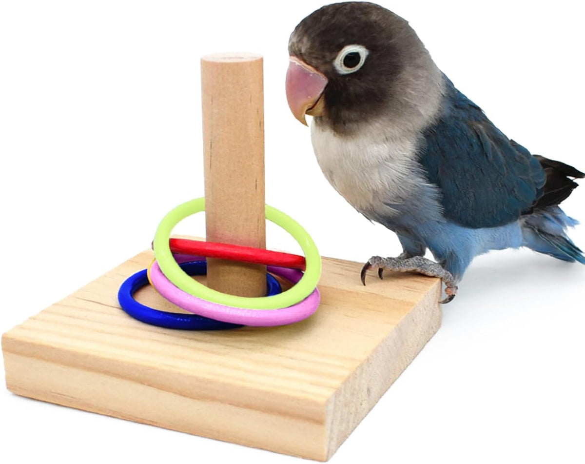 QBLEEV Bird Basketball Toy - Color Circle B