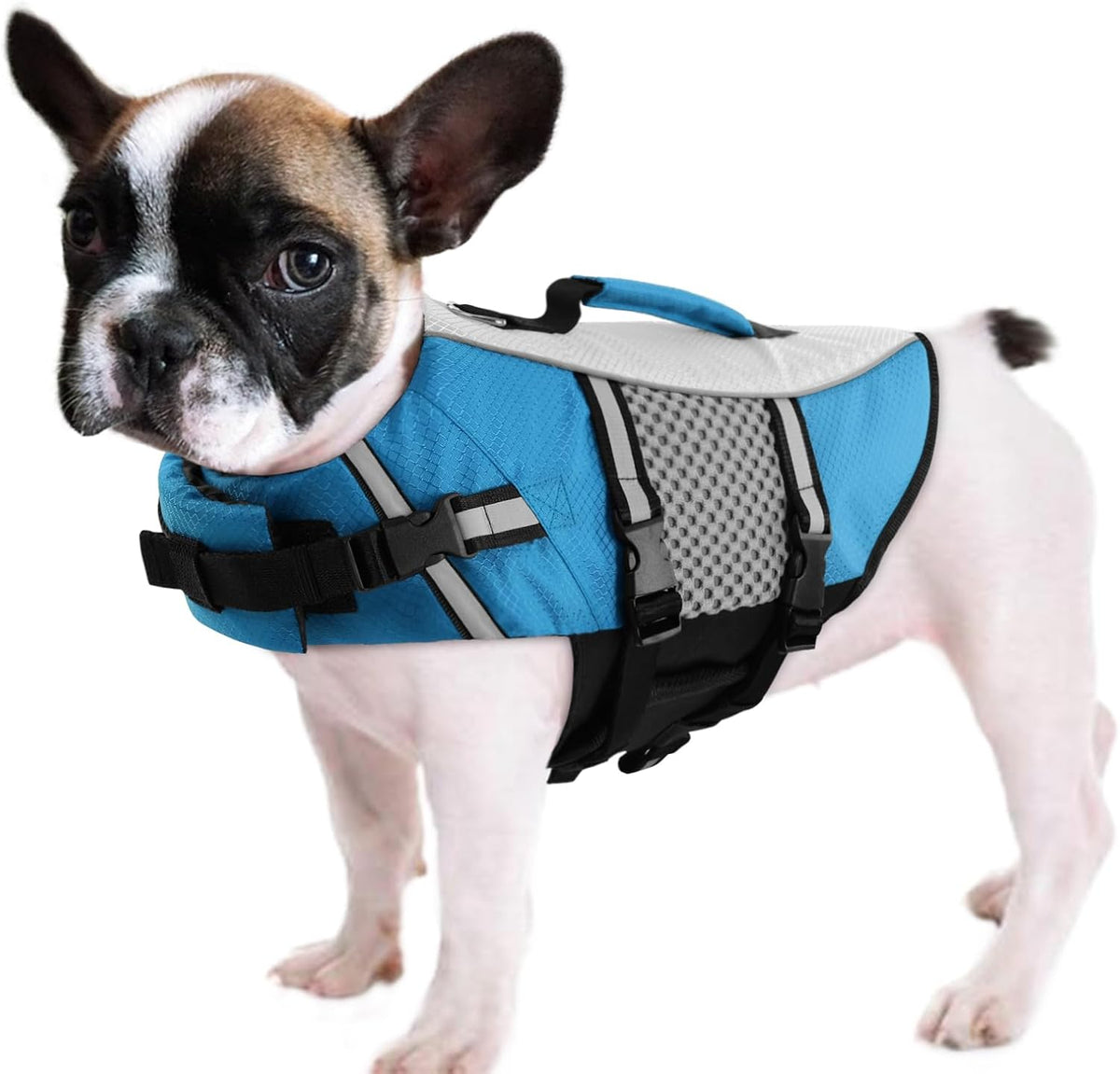 Dog Life Jacket, Small Float Vest for Swimming Boating Kayaking - Small / New Blue