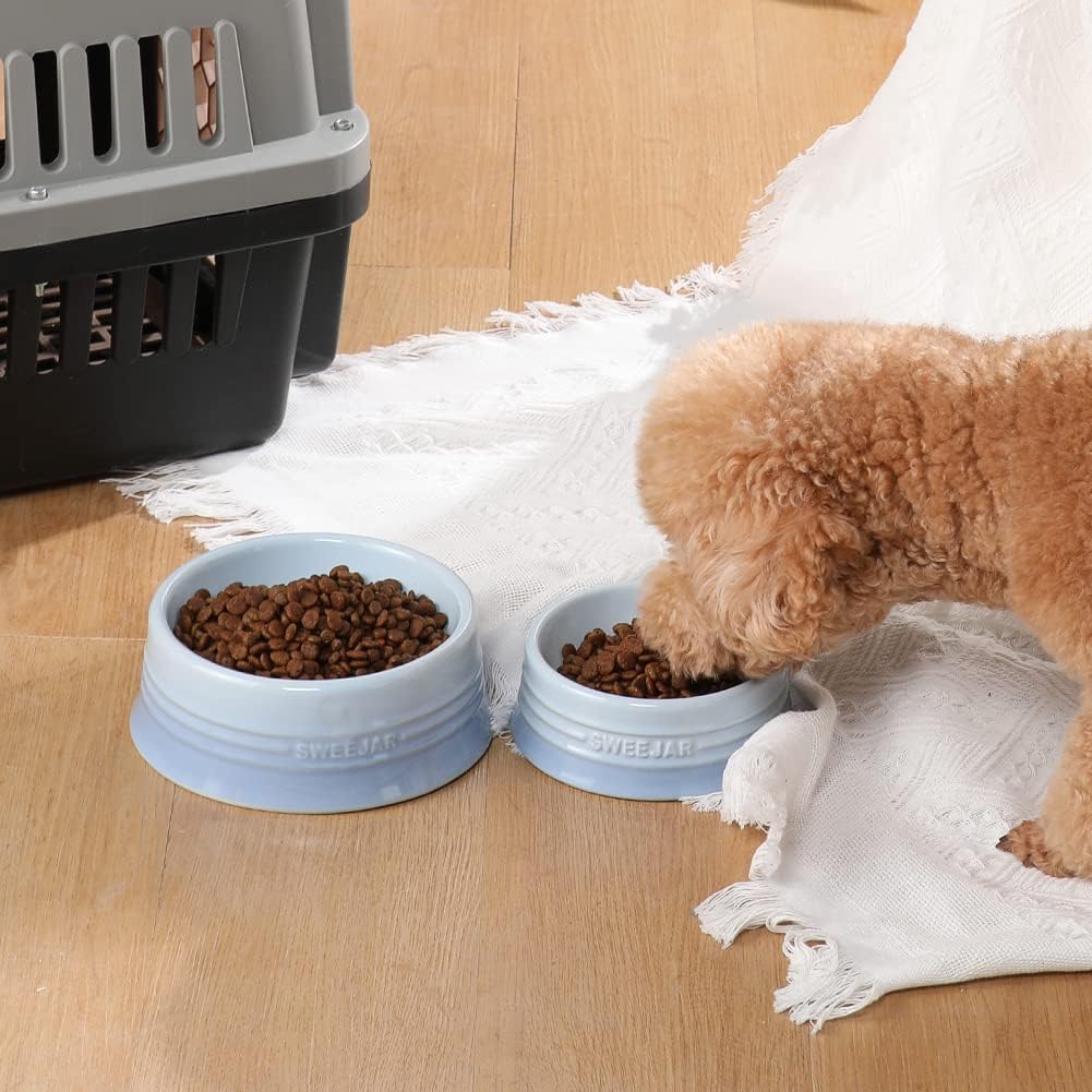 Sweejar Gradient Dog Bowl - Large (32oz) / Gradient Light Blue - image 3