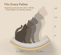 Cat Window Perches, Curved Cat Wall Beige Bed and 2 Floating Wall Steps, Wall Mounted Climbing Shelves for Sleeping, Playing, and Lounging