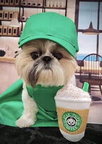Nestpark Parody Star Pups Coffee Dog Toy Pup'kin Spice Latte - image 3