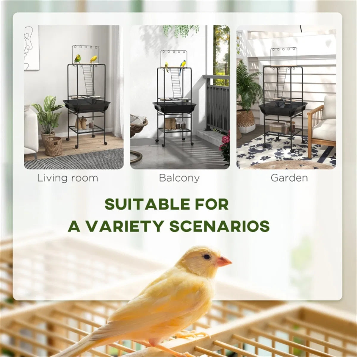 Bird Stand /Parrot Perch