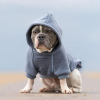 Spark Paws Dog Hoodie, Buttery-Soft Sweater Sweatshirt - Slate Blue / 3XL - image 2