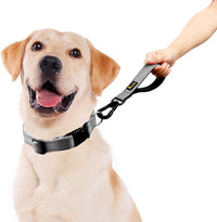 PLUTUS PET Short Dog Leash, Reflective Nylon Padded Handle, Strong Traffic Leash with Carabiner Clip, Perfect for Large or Medium Dogs (10”，Gray)