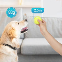 Prime Pets Tennis Balls for Dogs, 2.5 Inch Squeaky Dog Balls for Play & Fetch, Squeaky Tennis Balls for Medium, Large Dogs, Dog Toy Balls