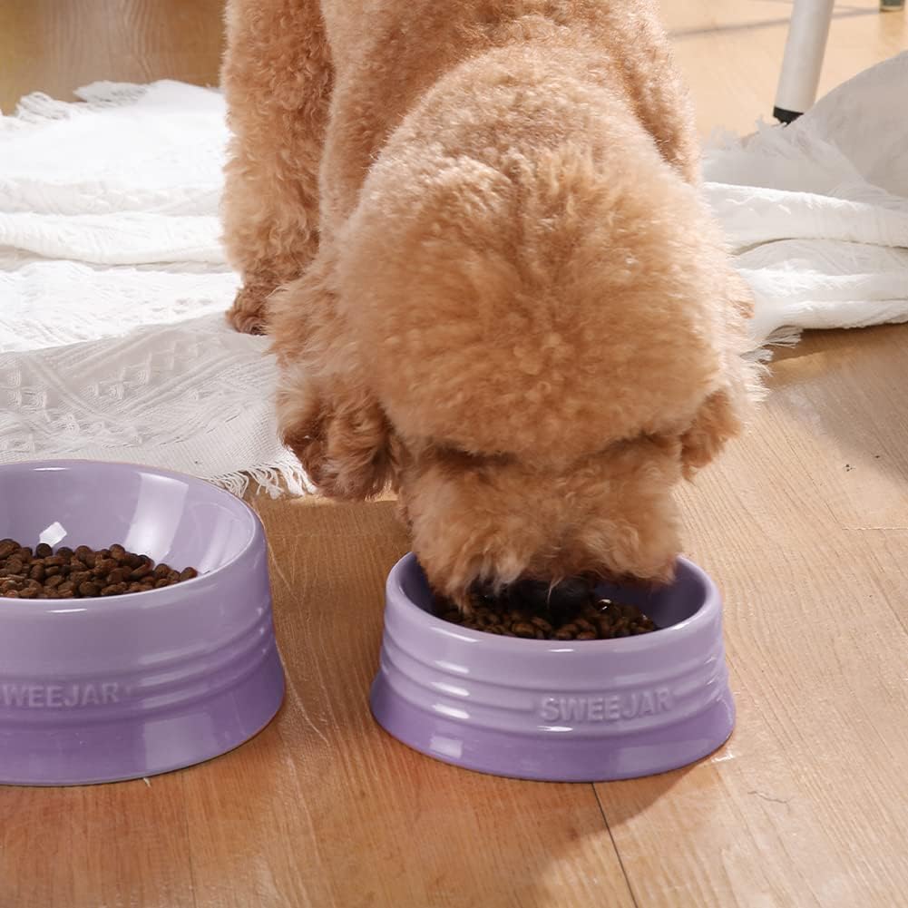 Sweejar Gradient Dog Bowl - Medium (18oz) / Gradient Purple - image 3
