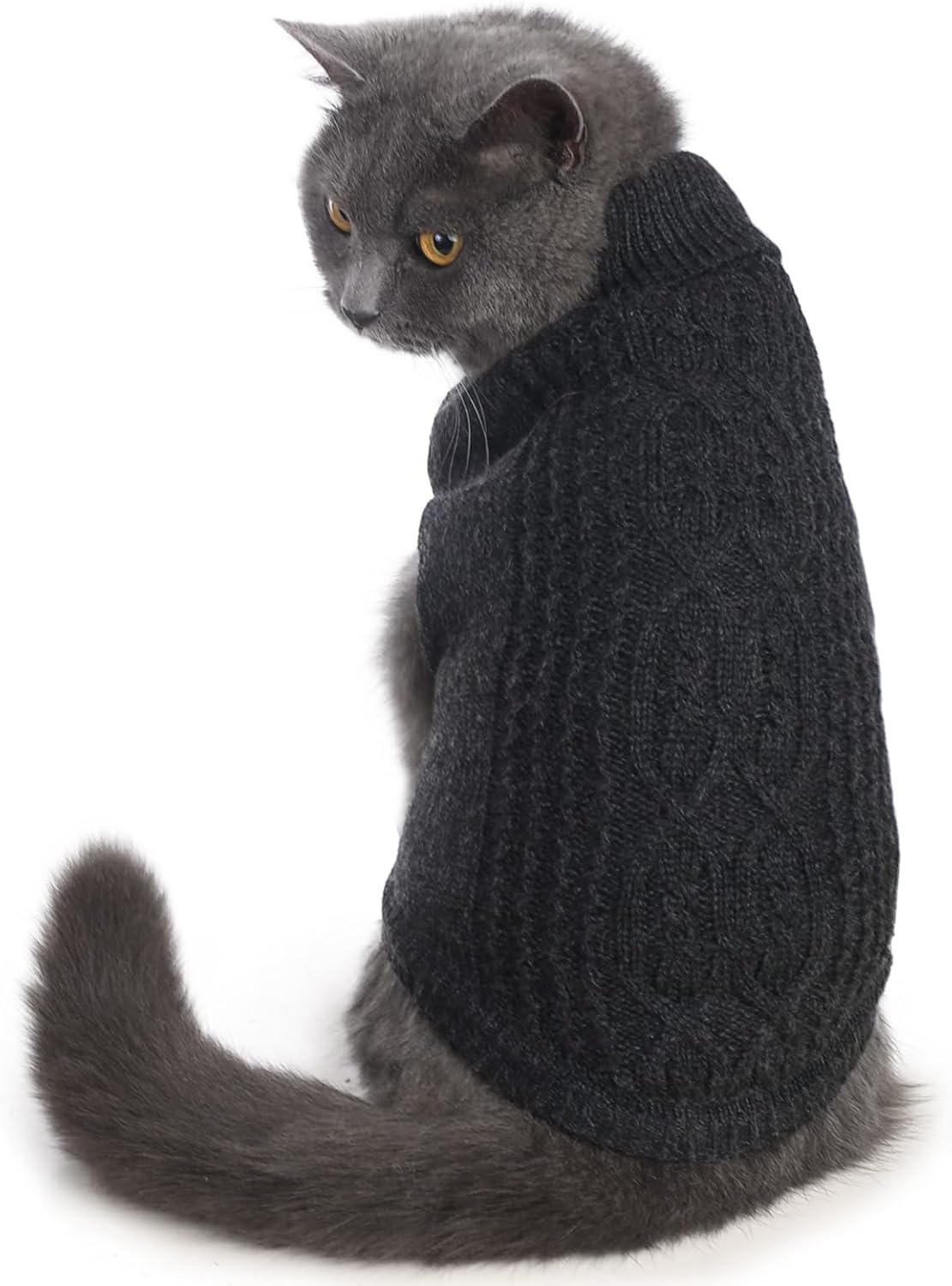 Cat Sweater Stretchy, 19 Colors, 6 Sizes - Dark Gray / Medium / Vest