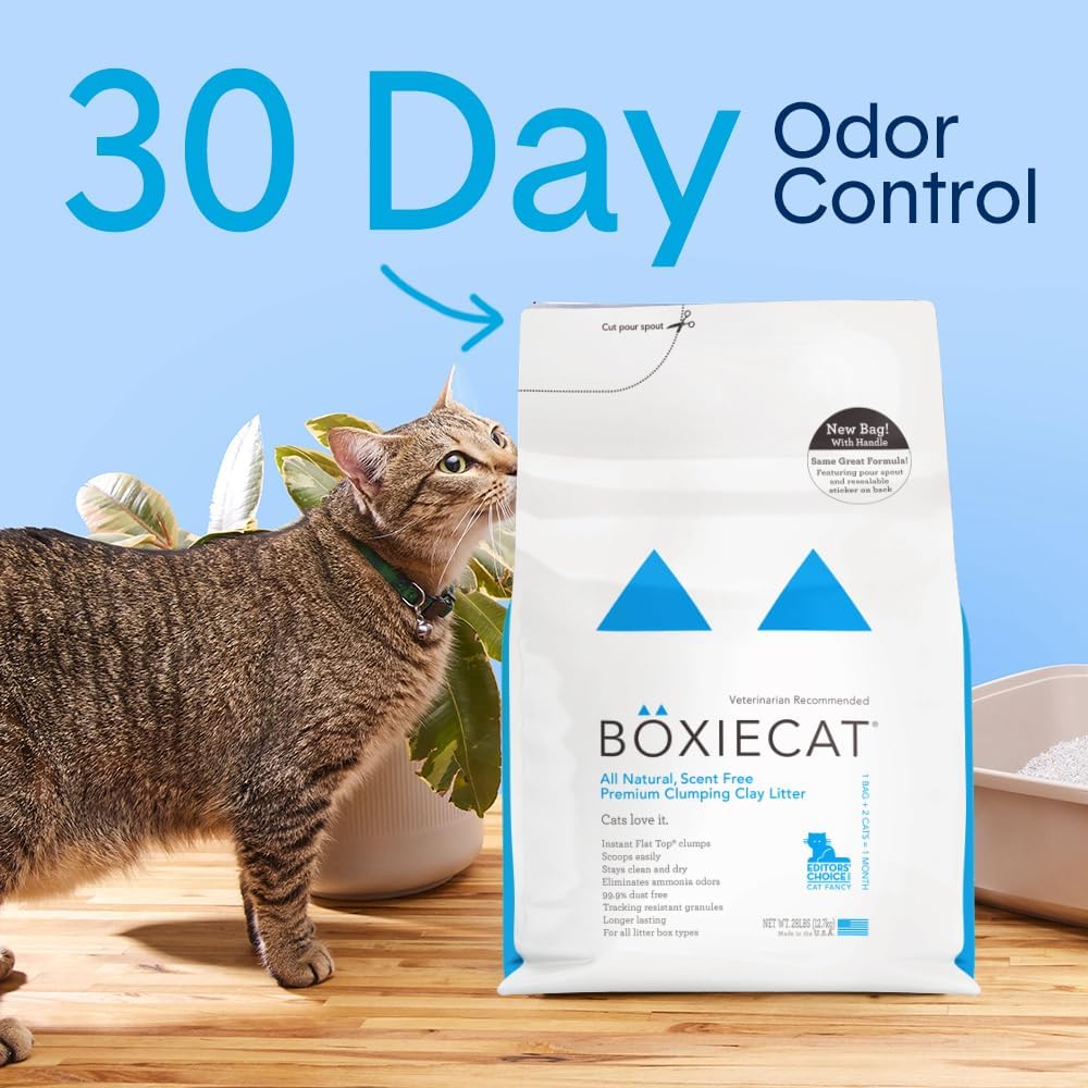 Boxie Premium Unscented Clumping Cat Litter 30+ Day Odor Control – Daily Care for Cats - Unscented / 16 lb - image 2