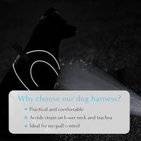 Comfort Fit Dog Harness Soft Padded No Pull Harness with Adjustable Buckles for Small Medium Large Dogs Step in Pet Vest with Easy Control Handle for Walking Jogging Running Training Dogs & Puppies
