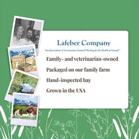LAFEBER'S Nutri-Hay Box for Rabbits and Guinea Pigs 40 oz