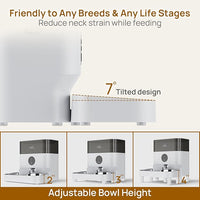 iPettie Automatic WiFi Pet Feeder for 2 Pets, 5L/21 Cup Capacity, 1-10 Meals Per Day, Adjustable Bowl Height, Smart Dog Cat Feeder with 2 Stainless Steel Bowls, Voice Recording, 2.4G WiFi App Control
