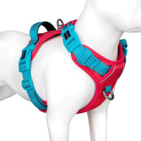 PHOEPET Upgraded No Pull Dog Harness, Reflective Adjustable Vest – Essentials for Dogs - Red Base & Teal Straps / Extra Small