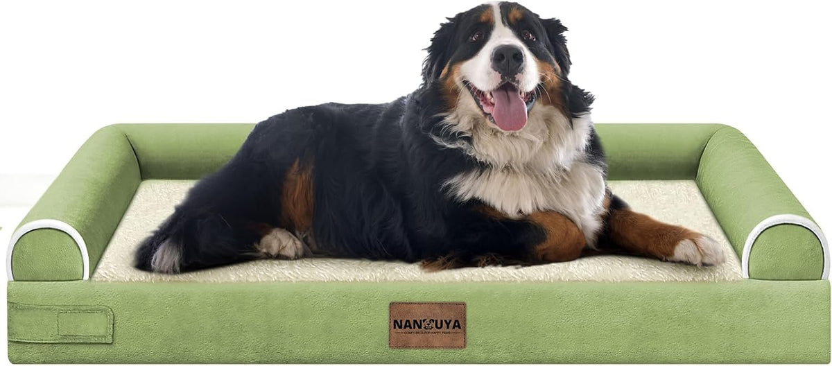 Orthopedic Dog Bed for Large Dogs - Grass Green / 53.0"L x 42.0"W x 6.5"Th
