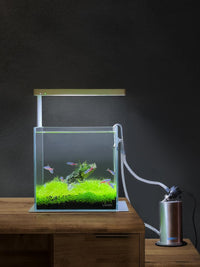 Aquarium 75H 37 Gallon Ultra Clear Glass Rimless Fish Tank – Essentials for Fish - Cube / 02Gal W7.8×D7.8×H7.8 in(20x20x20cm) - image 3