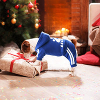 Dog Hoodie Security Clothes 4 Legs Jumpsuit Sweatshirt Hoodies Soft - Blue / X-Small - image 4
