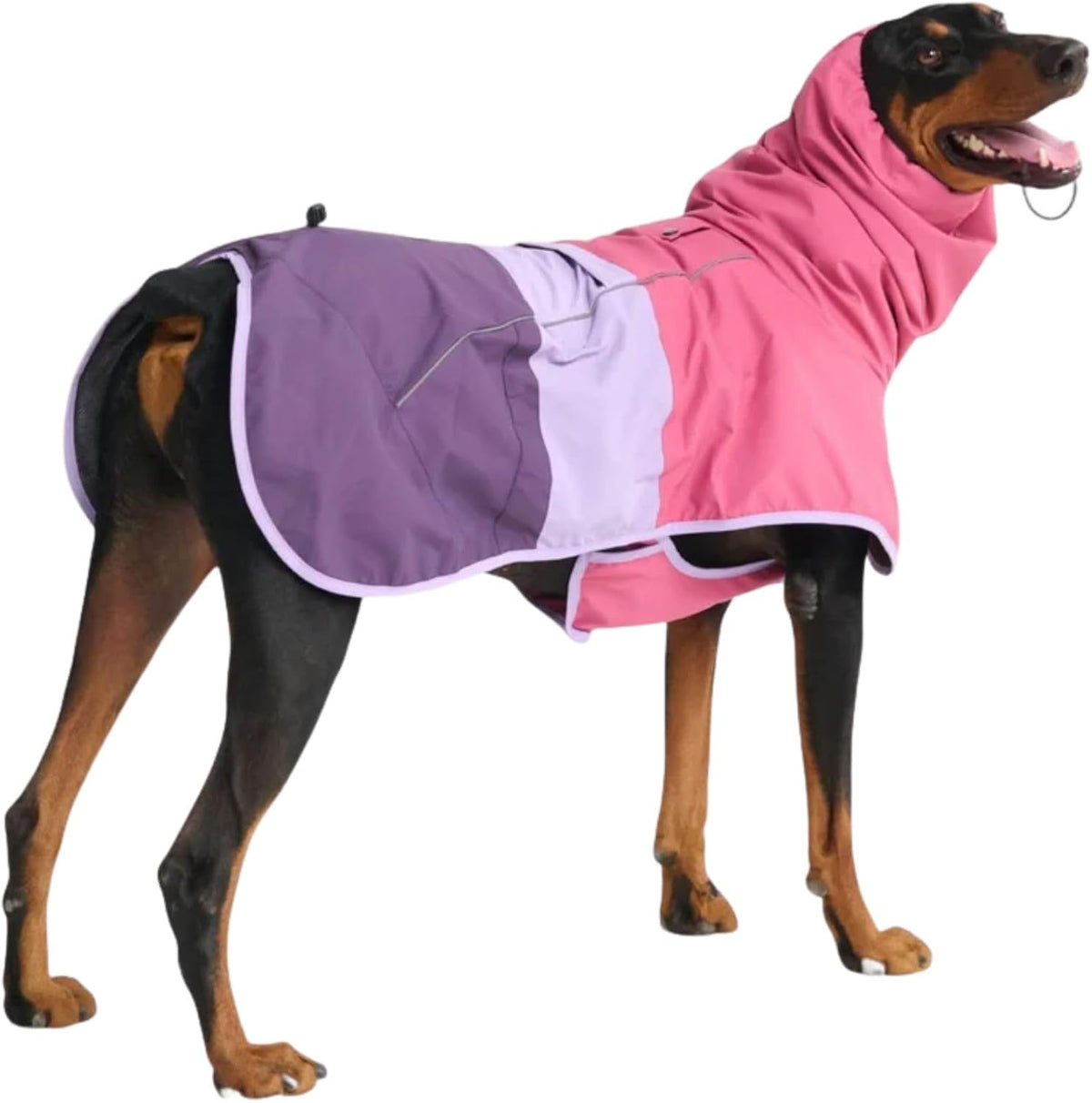 Spark Paws Dog Raincoat, Waterproof Rain Jacket w/Hood - Pink Lilac Purple / 4XL
