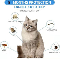 Flea Collar for Cats, Flea and Tick Collars for Cats and Kittens, 8 Month Protection, Gray, 1 Pack CAT