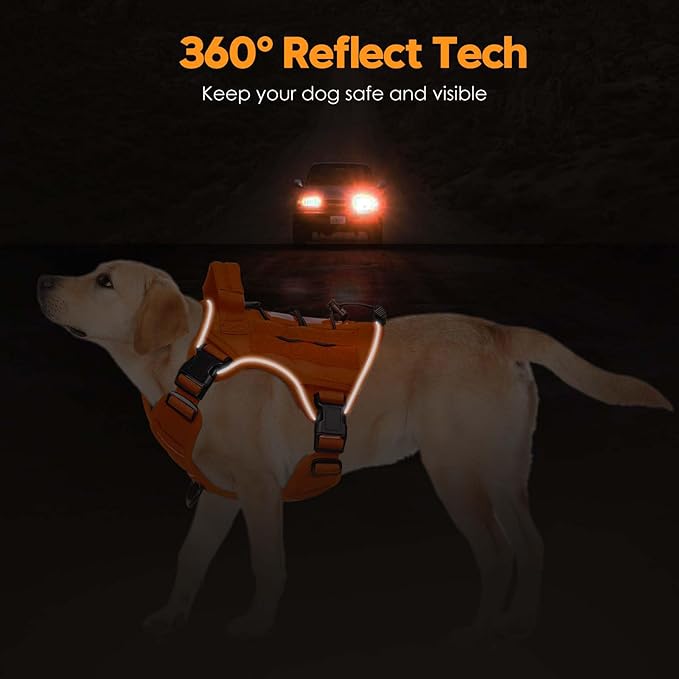 Heavy-Duty Tactical Dog Harness for Large Dogs, No Pull Adjustable Reflective Pet Vest with Molle System, K9 Military-Grade Control for Service Training, Outdoor & 10+ Breeds, Orange, Medium