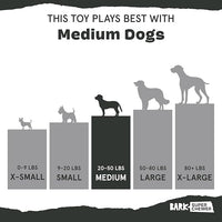 Barkbox Super Chewer Rad Herring Hard Core Toy with Rip Away Plush for Aggressive Chewers, Medium