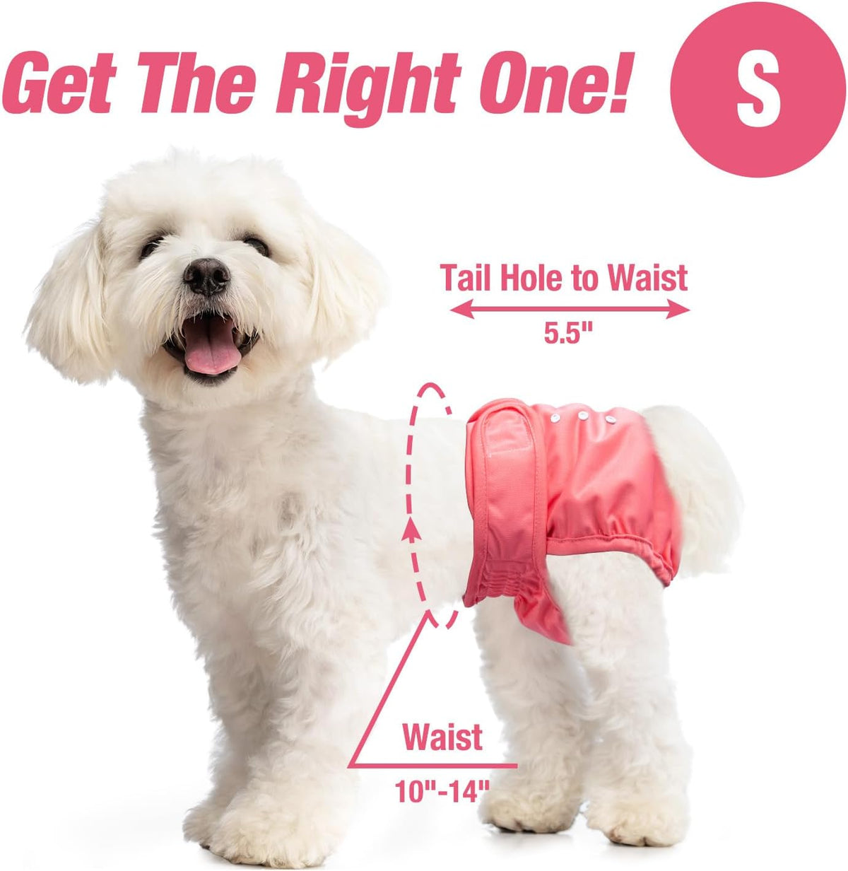 Pet Soft Washable Female Diapers Female Dog Diapers - Sprightly / Small:10''-14'' - image 4