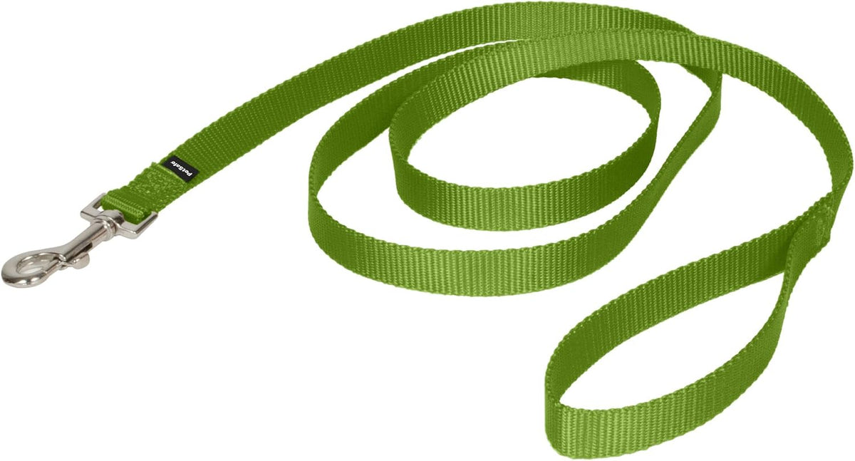 PetSafe Nylon Dog Leash, Strong, Durable - 3/4 in. x 6 ft. / Apple Green