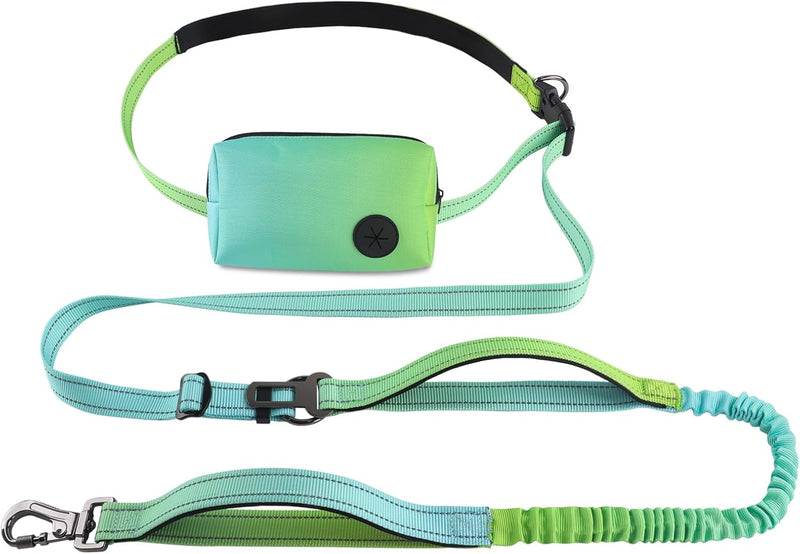 Roses&Poetry Hands Free Dog Leash with Zipper Pouch - GreenBlue