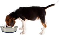 OurPets DuraPet Slow Feed Premium Stainless Steel Bowl Great - Medium (4.5 Cups) - image 2