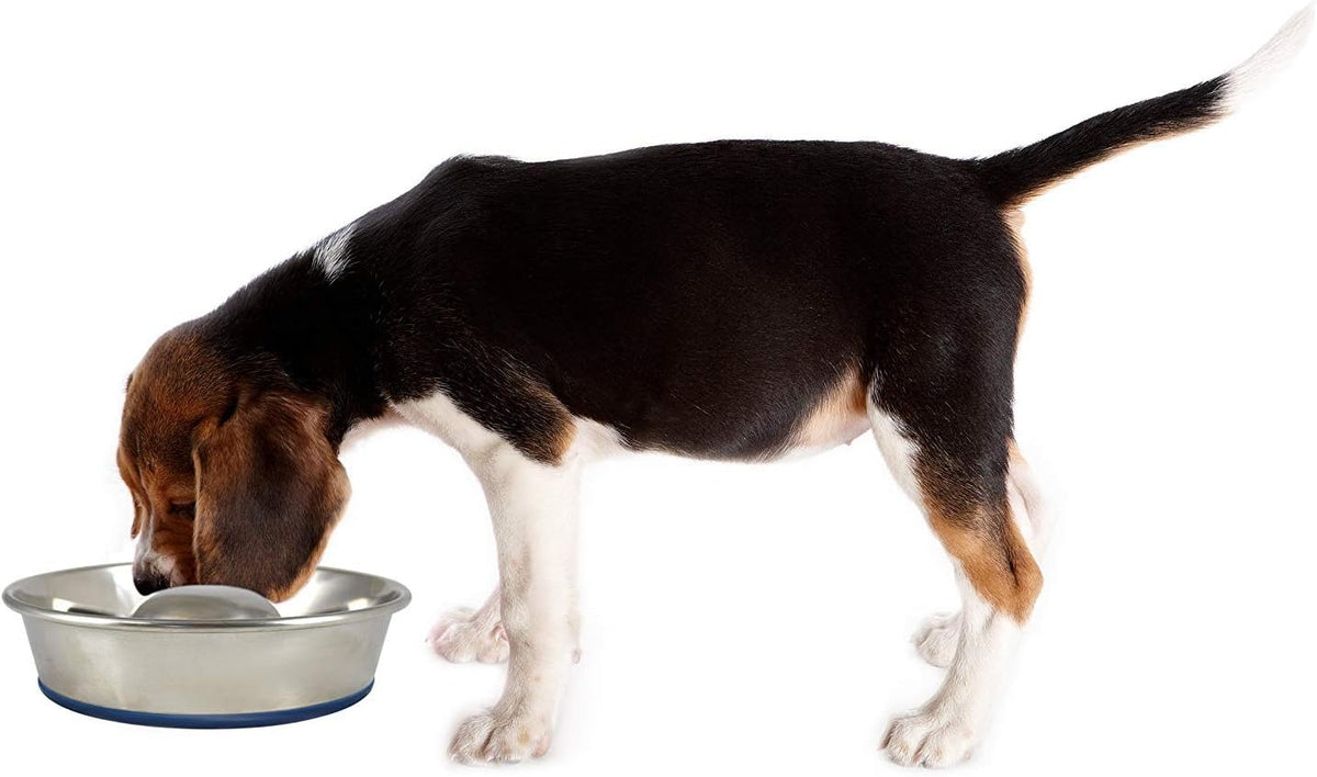 OurPets DuraPet Slow Feed Premium Stainless Steel Bowl Great - Medium (4.5 Cups) - image 2