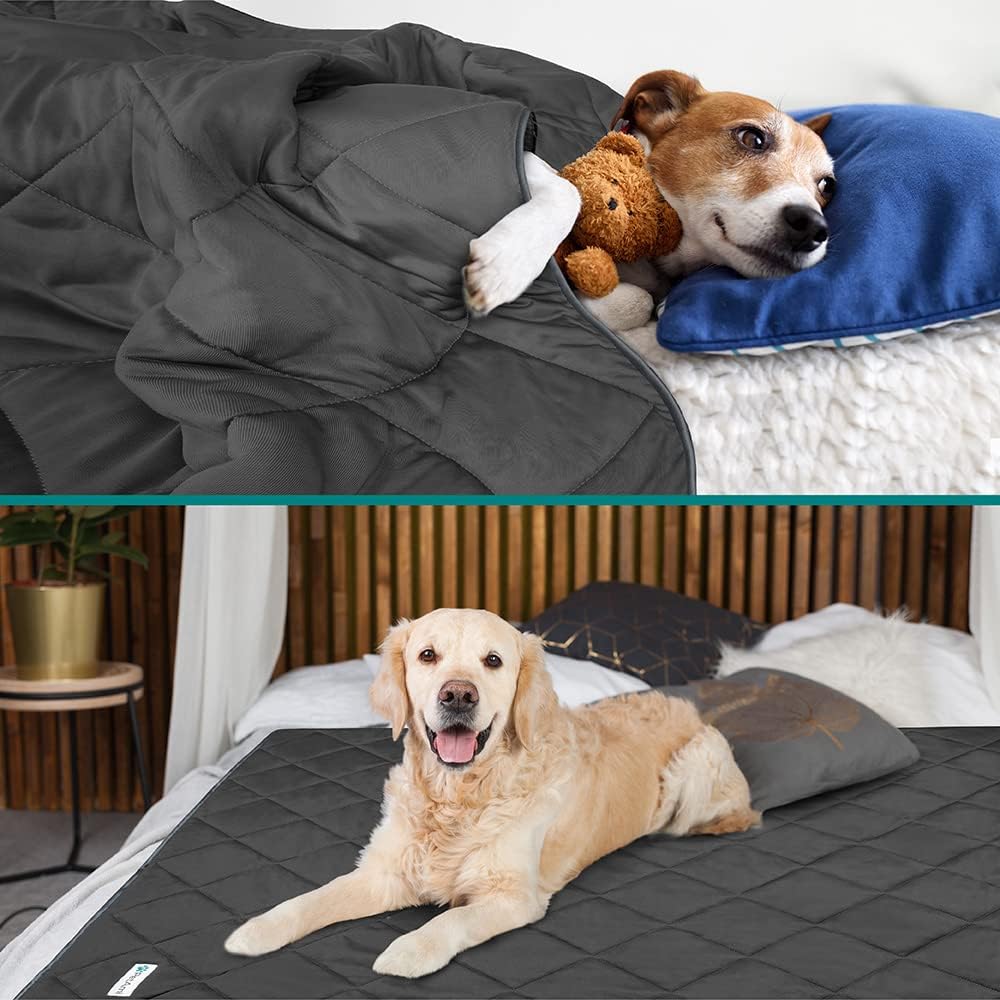 PetAmi Cooling Dog Blanket Lightweight for Small Pet Cat, 24x32 - Grey / Queen (90x90) - image 2