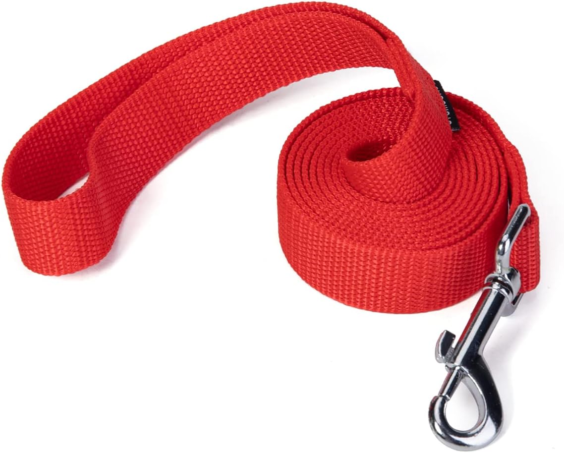 Strong Durable Nylon 10ft Long Dog Training Leash, Traction Rope - Red / 6 Feet