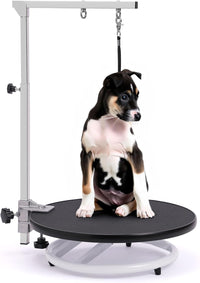 Dog Grooming Table for Dogs At-Home - black
