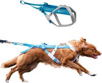 Non-stop Dogwear Freemotion 5.0 Dog Pulling Harness, Blue/Gray - 5 / Blue / Gray