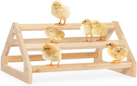 PETSFIT Baby Chick Roosting Bar, Anti-Rotation, Solid Wood - 14.4"L×10.6"W×6.7"H / Basic
