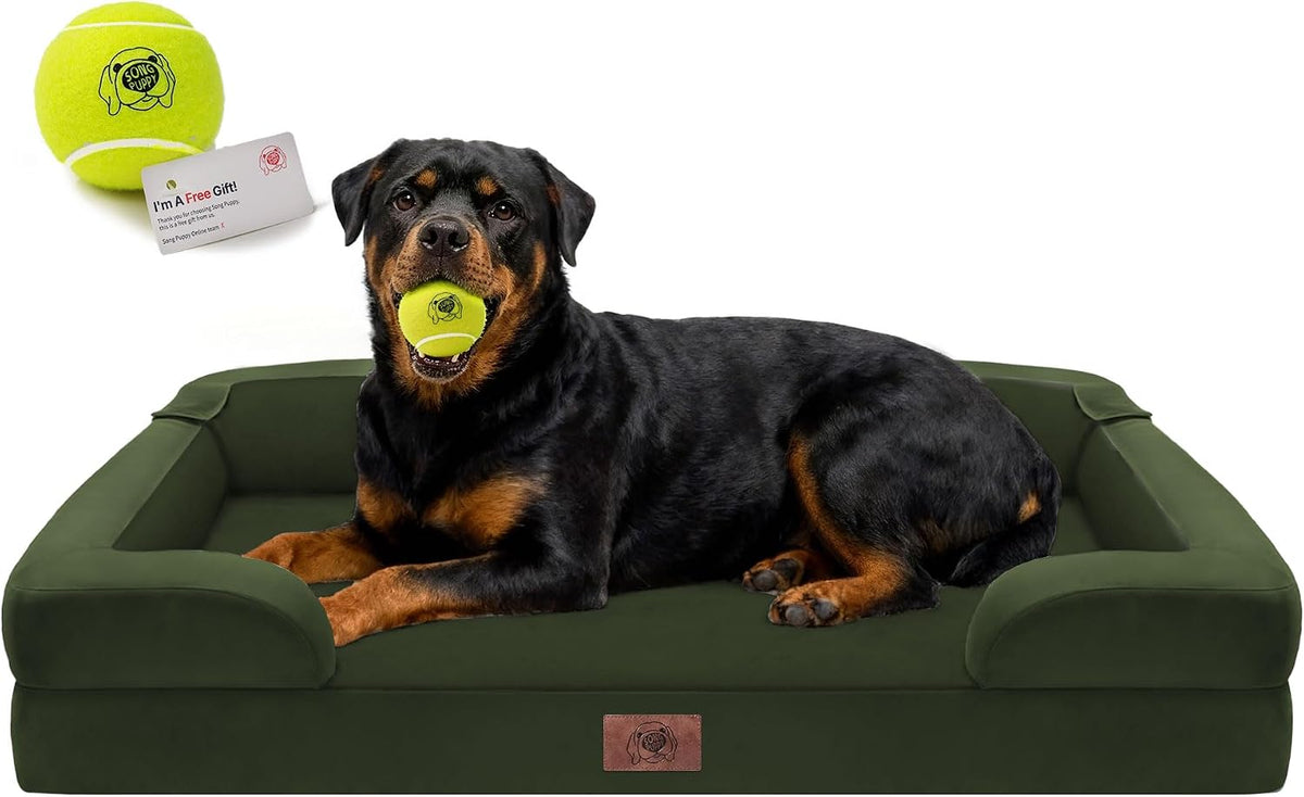 Waterproof Orthopedic Dog Bed for Extra Large Sized Dogs – Essentials for Dogs - 45 x 35 x 9 in / Oliva Green