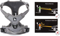 Truelove No Pull Dog Harness with Easy Control Handle and 2 Leash - Large / Gray - image 2
