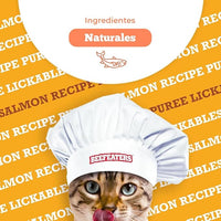 Beefeaters Cat Treats Lickable Puree 1.59oz (12-Pack) – Chicken, Grain-Free, Taurine-Enriched, Ideal for Training & Interactive Feeding