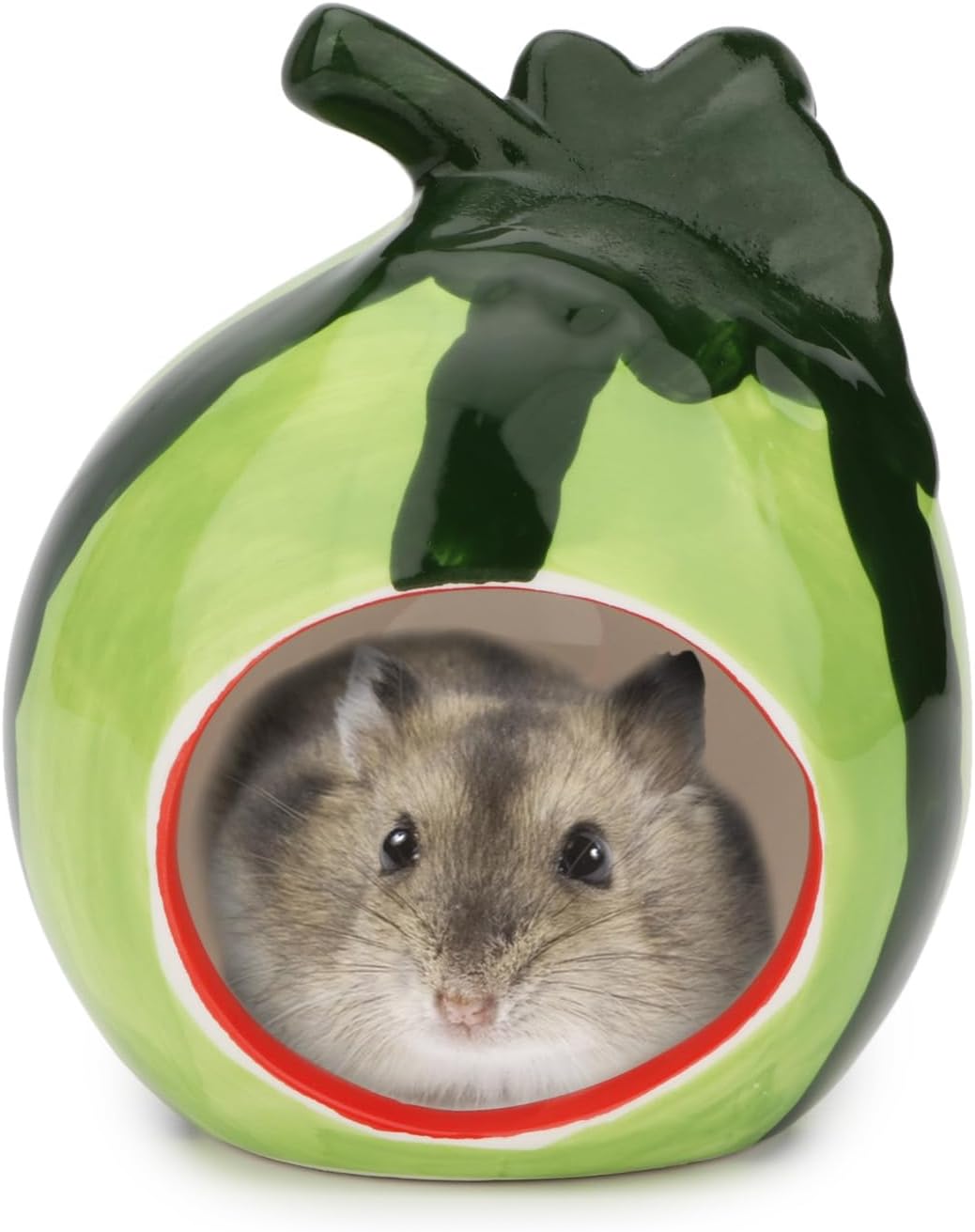 Hypeety Ceramic Hamster Hideout Decor Cool Bed Bath House - Green/Watermelon