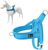 Plutus Pet No Pull Dog Harness with Front Clip - M: chest 19.7"-25.2" / Cyan