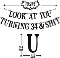 Black Glitter Look at You Turning 25 & Sh*t Banner - 34 - image 2