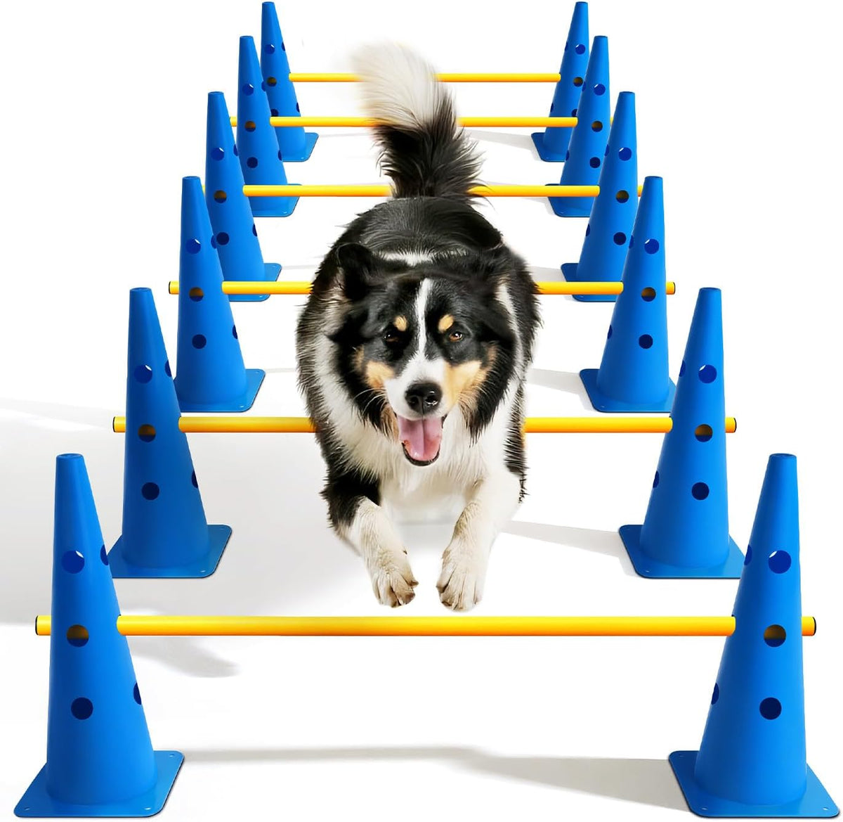Dog Agility Course Backyard Set - 18 IN / Blue