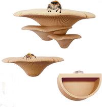 2 Pack Jumping Spider Accessories Mushroom Ledges & 1 Pack Water Bowl - beige