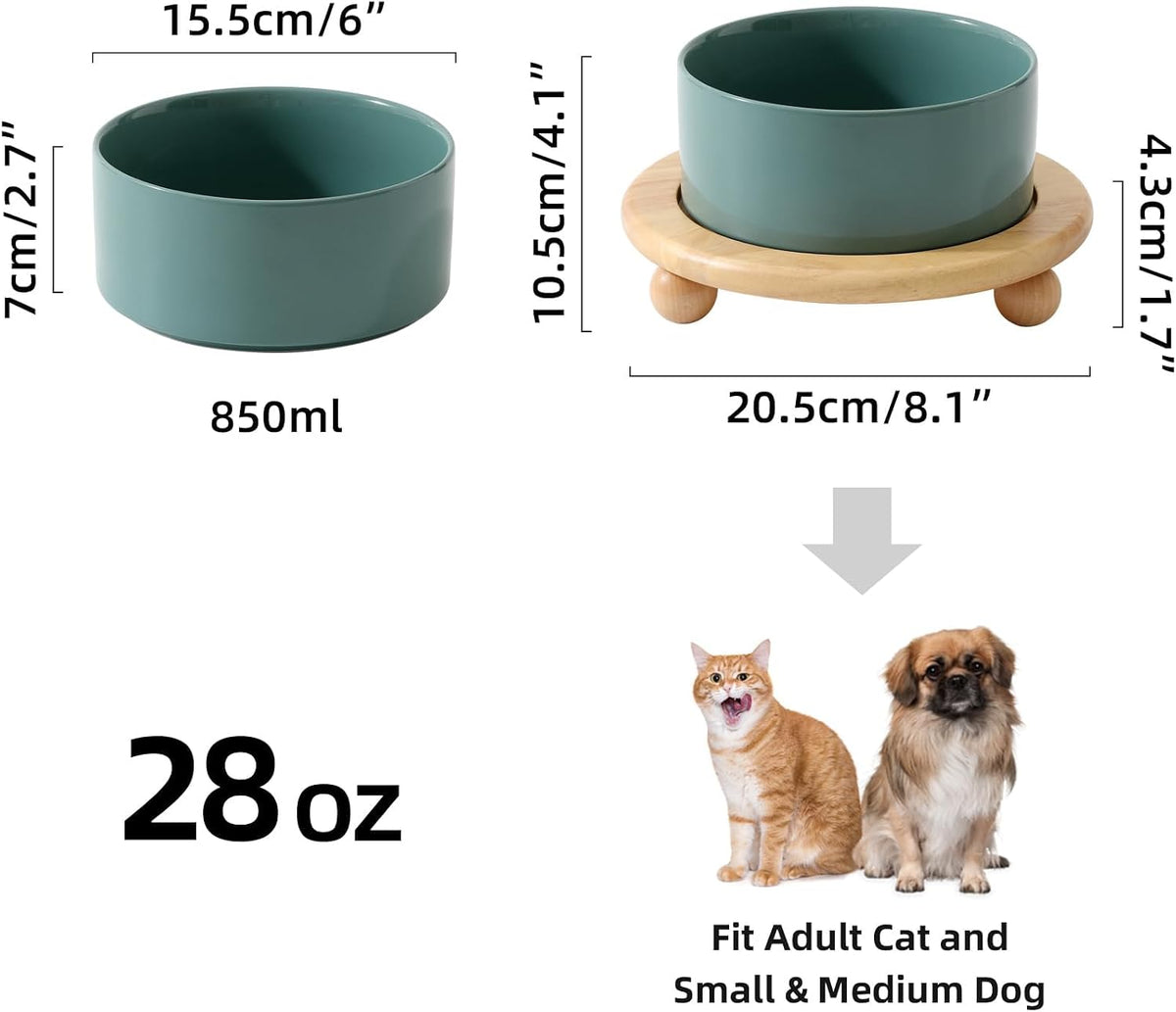 Cat Bowls Set of Two, 5.1” Ceramic Cat Food Bowls - Dark Green / Bowl+Tray - 6.1" - image 4
