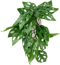Fake Calathea Orbifolia, Reptile Terrarium Suction Plants – Essentials for Fish - Fake Swiss Cheese Plants Monstera Adansonii