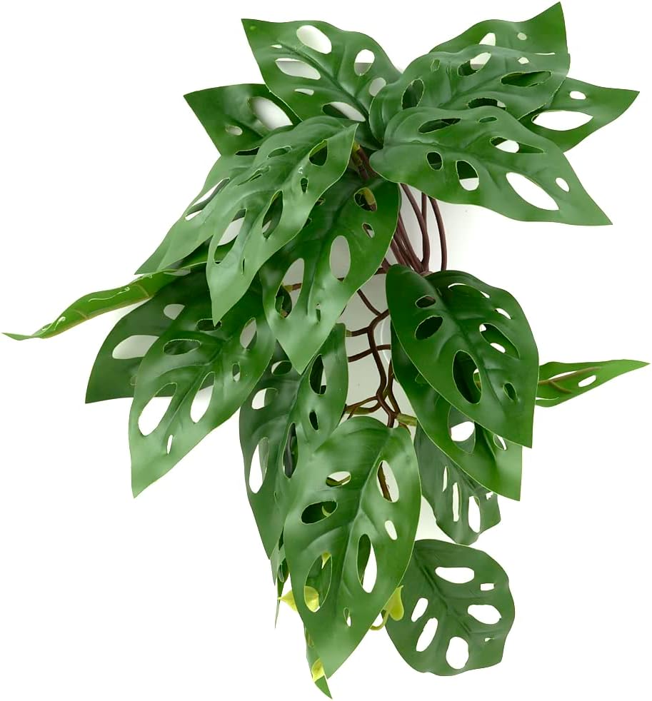 Fake Calathea Orbifolia, Reptile Terrarium Suction Plants – Essentials for Fish - Fake Swiss Cheese Plants Monstera Adansonii