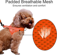 Plutus Pet No Pull Dog Harness with Front Clip - M: chest 19.7"-25.2" / Orange - image 3